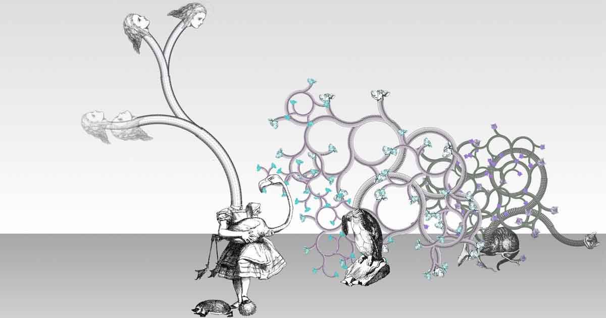 algorithmic art showcase